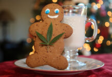 Stay Chill with Gift-Worthy CBD Products This Holiday Season Stay-Chill-with-Gift-Worthy-CBD-Products-This-Holiday-Season-CBD-products-mg-magazine-mgretailer