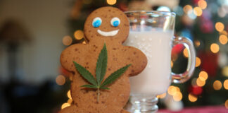 Stay Chill with Gift-Worthy CBD Products This Holiday Season Stay-Chill-with-Gift-Worthy-CBD-Products-This-Holiday-Season-CBD-products-mg-magazine-mgretailer
