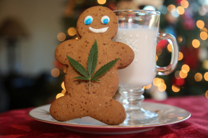 Stay-Chill-with-Gift-Worthy-CBD-Products-This-Holiday-Season-CBD-products-mg-magazine-mgretailer