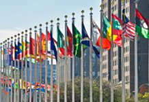 U.N. Commission Removes Cannabis from List of Dangerous Drugs U.N.-Commission-Removes-Cannabis-from-List-of-Dangerous-Drugs-cannabis-news-mg-Magazine-mgretailer