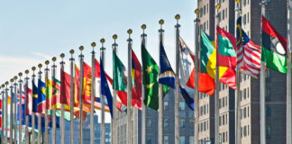 U.N. Commission Removes Cannabis from List of Dangerous Drugs U.N.-Commission-Removes-Cannabis-from-List-of-Dangerous-Drugs-cannabis-news-mg-Magazine-mgretailer