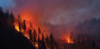 Up in Smoke: Wildfires Present a Hazy New Reality for West Coast Cannabis Up-in-Smoke-Wildfires-Present-a-Hazy-New-Reality-for-West-Coast-Cannabis-feature-cannabis-news-mg-Magazine-mgretailer