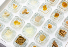 Calyx Containers: Changing the Future of Cannabis Packaging Calyx Containers cannabis jewel boxes mg Magazine mgretailer