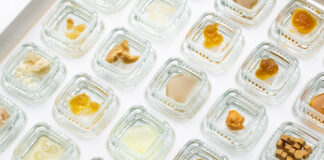 Calyx Containers: Changing the Future of Cannabis Packaging Calyx Containers cannabis jewel boxes mg Magazine mgretailer