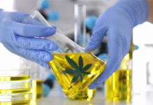 Cannabis Testing Regulations Need Standardization Cannabis-Testing-Regulations-Need-Standardization-Aaron-Riley-CannaSafe-cannabis-news-mg-magazine-mgretailer