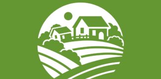 Fresh Bros: CBD Will Lose Market Share to Delta 8 THC Hemp Products in 2021 Fresh-Bros-logo-mg-magazine-mgretailer