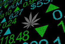 Green Economy | Cannabis Industry Financial News February 12, 2021 Green-Economy-Cannabis-News-Financial-News-February-12-2021-mg-magazine-mgretailer