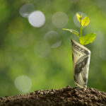Green Economy | Cannabis Industry Financial News February 26, 2021 Green-Economy-Cannabis-News-Financial-News-February-26-2021-mg-magazine-mgretailer
