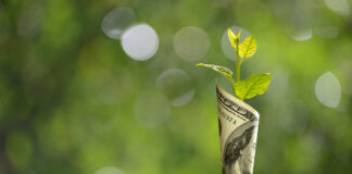 Green Economy | Cannabis Industry Financial News February 26, 2021 Green-Economy-Cannabis-News-Financial-News-February-26-2021-mg-magazine-mgretailer