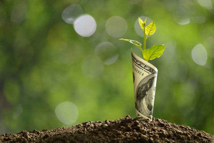 Green-Economy-Cannabis-News-Financial-News-February-26-2021-mg-magazine-mgretailer