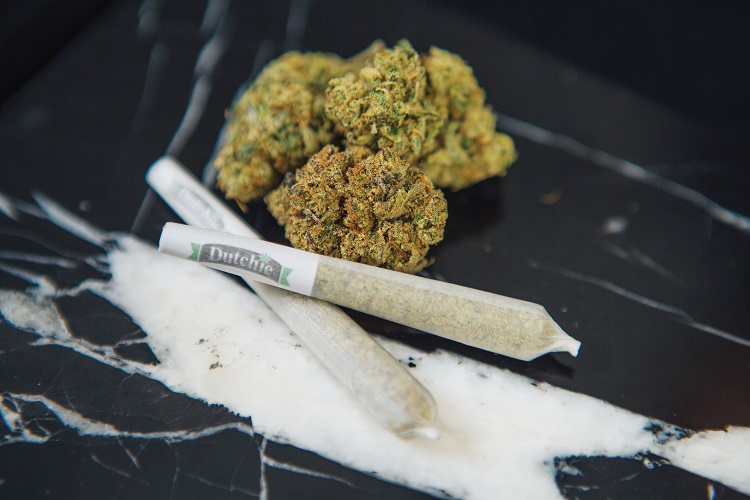 Dutchie-Hybrid-Pre-Rolls-cannabis-products-mg-magazine-mgretailer