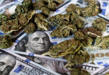 SAFE Banking Act Reintroduced in House of Representatives SAFE-Banking-Act-Reintroduced-in-House-of-Representatives-cannabis-news-mg-magazine-mgretailer