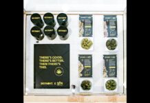 Skymint Brands x DNA Genetics Collection Skymint-Brands-x-DNA-Genetics-Collection-THC-products-mg-magazine-mgretailer