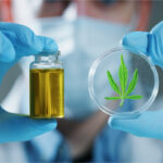 Is Delta-8 Legal? What-Is-Delta-8-and-Is-It-Legal-cannabis-news-mg-magazine-mgretailer