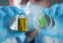 Is Delta-8 Legal? What-Is-Delta-8-and-Is-It-Legal-cannabis-news-mg-magazine-mgretailer