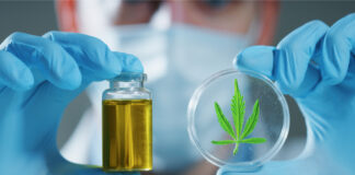 Is Delta-8 Legal? What-Is-Delta-8-and-Is-It-Legal-cannabis-news-mg-magazine-mgretailer