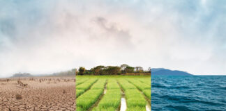 Opinion: Cannabis Environmental Impact Needs Improvement Cannabis environmental impact mg Magazine mgretailer