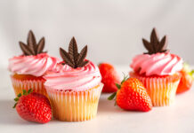 Myth-Busting: Are ‘Strain-Specific’ Cannabis Edibles Effective? Cannabis strain-specific edibles Spender1 mg Magazine mgretailer