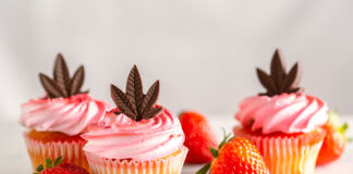 Myth-Busting: Are ‘Strain-Specific’ Cannabis Edibles Effective? Cannabis strain-specific edibles Spender1 mg Magazine mgretailer
