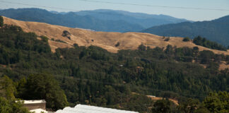 Legal Perspective: California’s Cannabis Appellation Program Humboldt County cannabis appellation Canna Obscura mg Magazine mgretailer