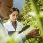 International Standards Body Develops New Cannabis Standards Scientists examine hemp ASTM standards mg Magazine mgretailer
