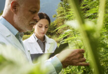 International Standards Body Develops New Cannabis Standards Scientists examine hemp ASTM standards mg Magazine mgretailer
