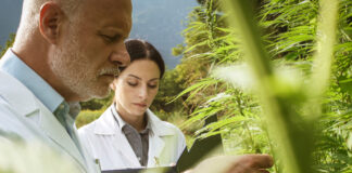 International Standards Body Develops New Cannabis Standards Scientists examine hemp ASTM standards mg Magazine mgretailer