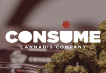 SELF-SERVICE KIOSKS ENHANCE CUSTOMER EXPERIENCE AT CONSUME CANNABIS consume cannabis dispensary mg Magazine mgretailler