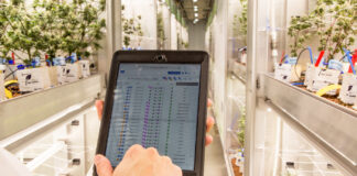 The Importance of Consistency in Cannabis Cultivation Agrify cloud-based controls mg Magazine mgretailer