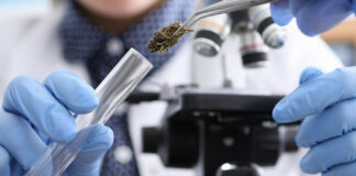 The Importance of Trusted Partners in the CBD Supply Chain Hemp CBD lab testing mg Magazine mgretailer