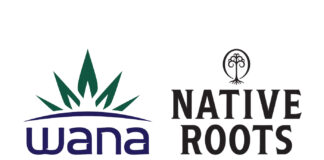 Native Roots Cannabis Co. and Wana Brands partner with Digital Artist Ciara Bourne on Cannabis NFT Auction Native Roots Wana Brands cannabis mg Magazine mgretailler
