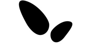 Vitaldiol: High-Quality, Evidence-Backed, All-Natural Health and Wellness Products Vitaldiol CBD products with botanicals