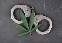 Luke Scarmazzo: California’s Last Federal Medical Marijuana Prisoner cannabis prisoners federal crime lotas mg Magazine mgretailer