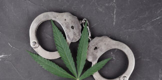 Luke Scarmazzo: California’s Last Federal Medical Marijuana Prisoner cannabis prisoners federal crime lotas mg Magazine mgretailer