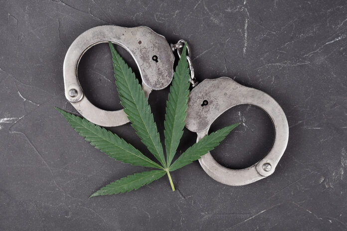 cannabis prisoners federal crime lotas mg Magazine mgretailer