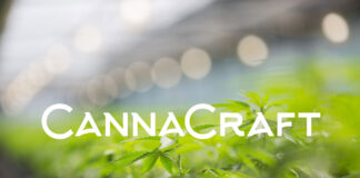 CannaCraft’s Loud+Clear Partners with Equality California; Sponsors Sonoma County Pride 2021 in Celebration of Pride Month cannacraft cannabis company mg Magazine mgretailler