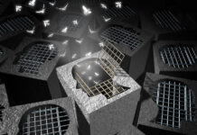 Poll: War on Drugs Did More Harm than Good freeing cannabis drug-war prisoners Lightspring mg Magazine mgretailer