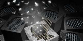 Poll: War on Drugs Did More Harm than Good freeing cannabis drug-war prisoners Lightspring mg Magazine mgretailer