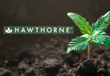 Rhizoflora expands Hawthorne’s nutrients portfolio hawthorne gardening cannabis mg Magazine mgretailler
