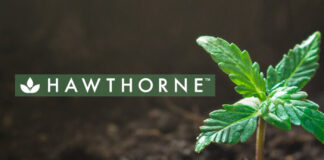 The Hawthorne Gardening Company announces support for leading social justice organizations through The Hawthorne Social Justice Fund within The Scotts Miracle-Gro Foundation hawthorne gardening cannabis mg Magazine mgretailler
