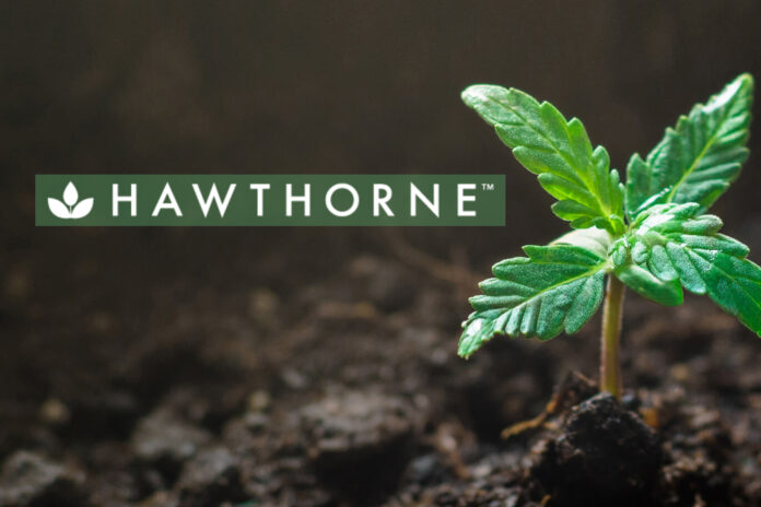 hawthorne gardening cannabis mg Magazine mgretailler