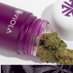 Viola Announces Mezz Brands As The Newest Incubator Partner viola Brands mg Magazine mgretailler