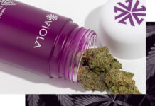Viola Announces Mezz Brands As The Newest Incubator Partner viola Brands mg Magazine mgretailler