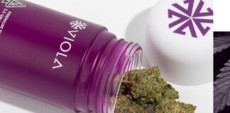 Viola Announces Mezz Brands As The Newest Incubator Partner viola Brands mg Magazine mgretailler