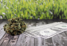 Explained: Why Does Cannabis Cost what it Does? Cannabis costs explained flapas depositphotos mg Magazine mgretailer