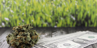 Explained: Why Does Cannabis Cost what it Does? Cannabis costs explained flapas depositphotos mg Magazine mgretailer