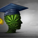 Cannabis Consumers at All Levels Need Thoughtful Education Cannabis consumer education lightsource depositphotos mg Magazine mgretailer