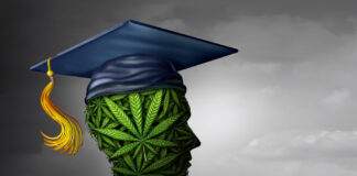 Cannabis Consumers at All Levels Need Thoughtful Education Cannabis consumer education lightsource depositphotos mg Magazine mgretailer