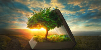 We Must Rebrand the Cannabis Industry to Achieve Legalization Tree of Life by Amanda Carden rebranding renewal mg Magazine mgretailer