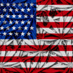 Senators Unveil Draft Legalization Bill US federal cannabis legalaztion lightsource Depositphotos mg Magazine mgretailer